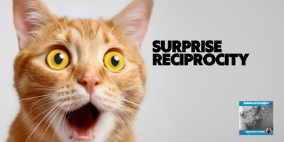 Surprise Reciprocity - Behavioral Economics in Marketing