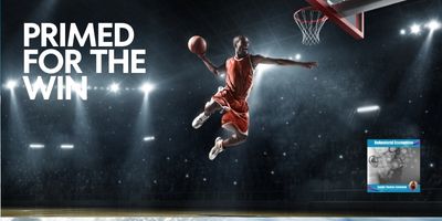 Case Study: Primed for a 73% Win — How Consistency and Cultural Resonance Transformed Email Marketing